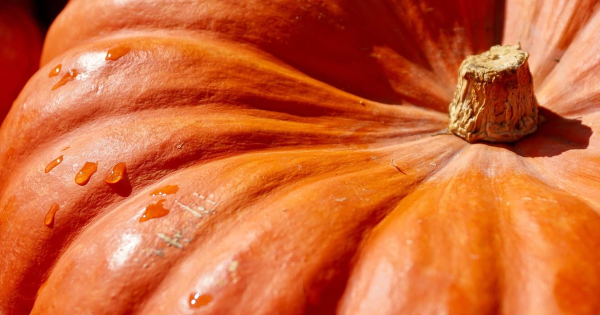 Sagra della Zucca e dei Porcini legnano